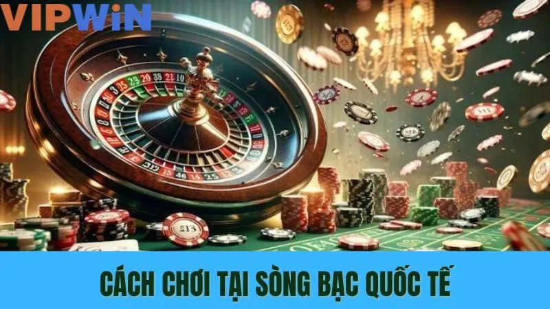 VIPWIN là lựa chọn lý tưởng cho những ai yêu thích chơi sòng bạc quốc tế trực tuyến