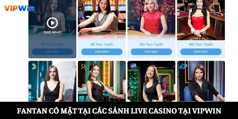 Fantan có mặt tại các sảnh live casino tại Vipwin