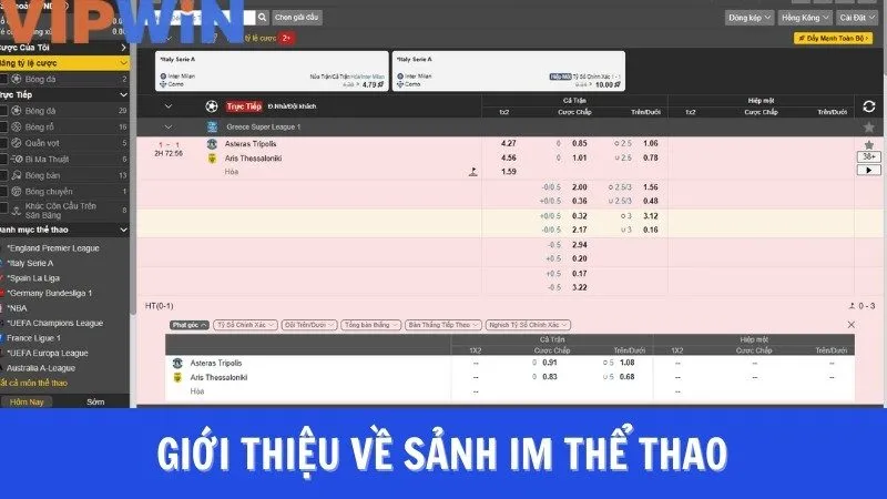 Giới thiệu sảnh IM Thể Thao