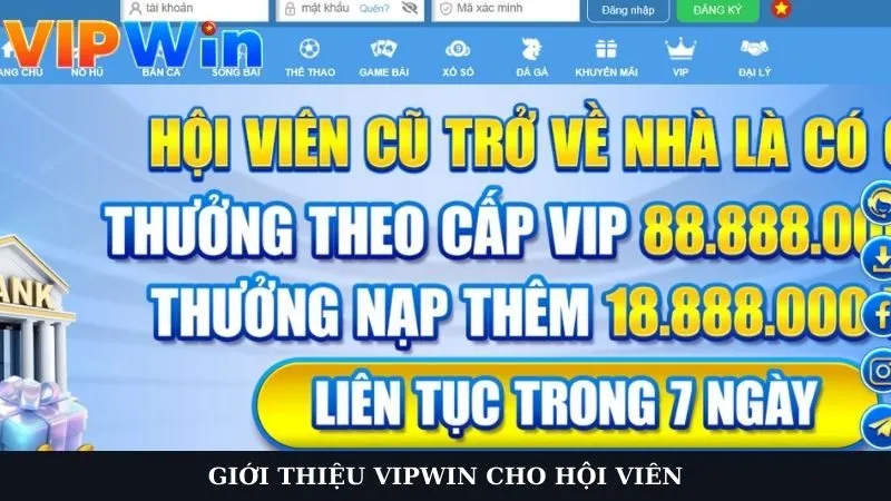 Giới thiệu chuyên trang cho hội viên