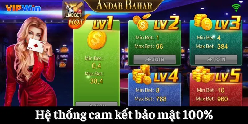 Hệ thống cam kết bảo mật 100%