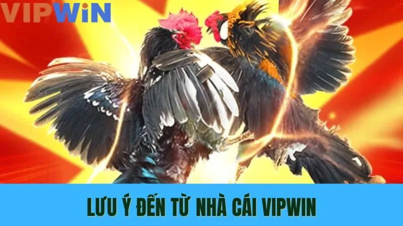 Sảnh AOG Đá Gà VIPWIN là một địa chỉ không thể bỏ qua