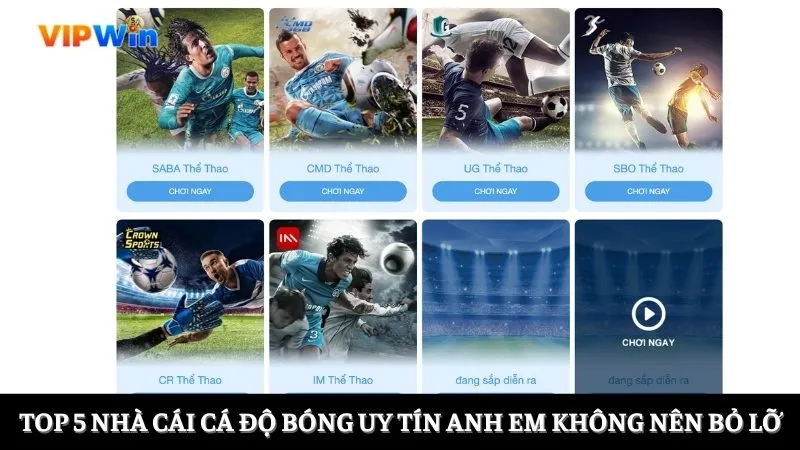 nhà cái cá độ bóng uy tín