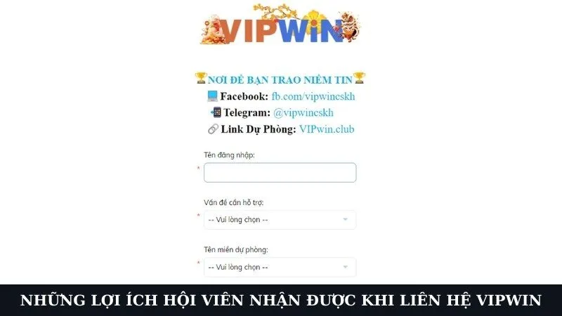 Những lợi ích hội viên nhận được khi liên hệ VIPWIN