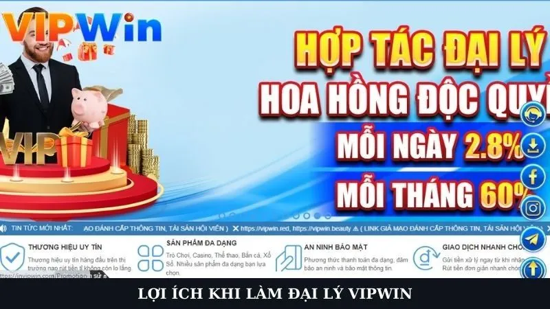 Quyền lợi khi là nhà phân phối sản phẩm