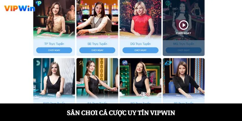 Sân chơi cá cược uy tín Vipwin