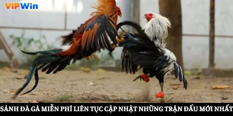 Trận đấu kịch tính, hấp dẫn