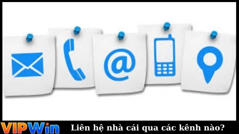 Liên hệ nhà cái qua các kênh nào?