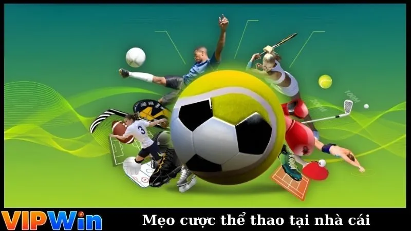 Mẹo cược thể thao tại nhà cái