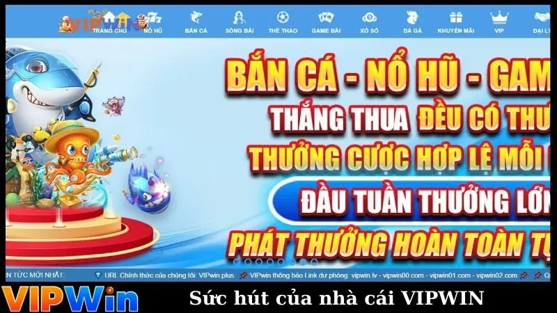 Sức hút của nhà cái VIPWIN