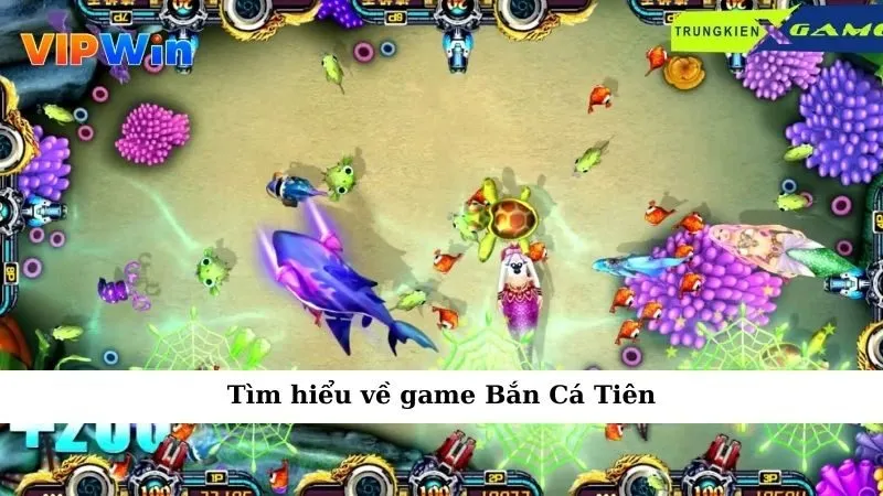 Tìm hiểu về game Bắn Cá Tiên