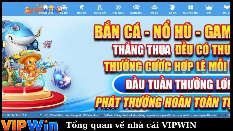 Tổng quan về nhà cái VIPWIN